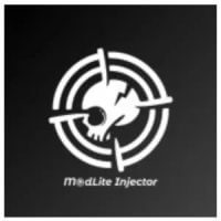 Modlite Injector APK v4 Download